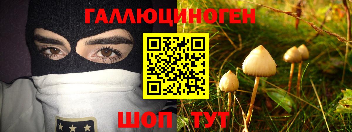 Псилоцибиновые грибы GOLDEN TEACHER Трёхгорный